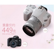 照相机佳能（Canon）EOS 200D II 200D2 迷你单反相机