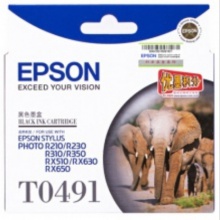 爱普生（Epson）T0491 黑色墨盒 C13T049180