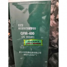 蓄电池 2V 600AH 型号GFM-600