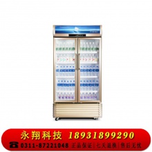 星星（XINGX）LSC-610WD商用双门立式展示柜冷藏冰箱 商用大容量保鲜冰柜 三门风冷超市冷柜