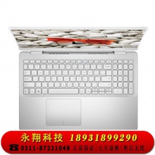 戴尔DELL15.6英寸英特尔酷睿i7轻薄笔记本电脑(十代i7-10510U 8G 1TSSD MX250 2G 2年整机)